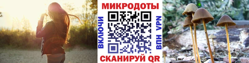 Галлюциногенные грибы Magic Shrooms  наркотики  Дубна 